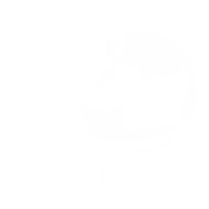 The Dental House